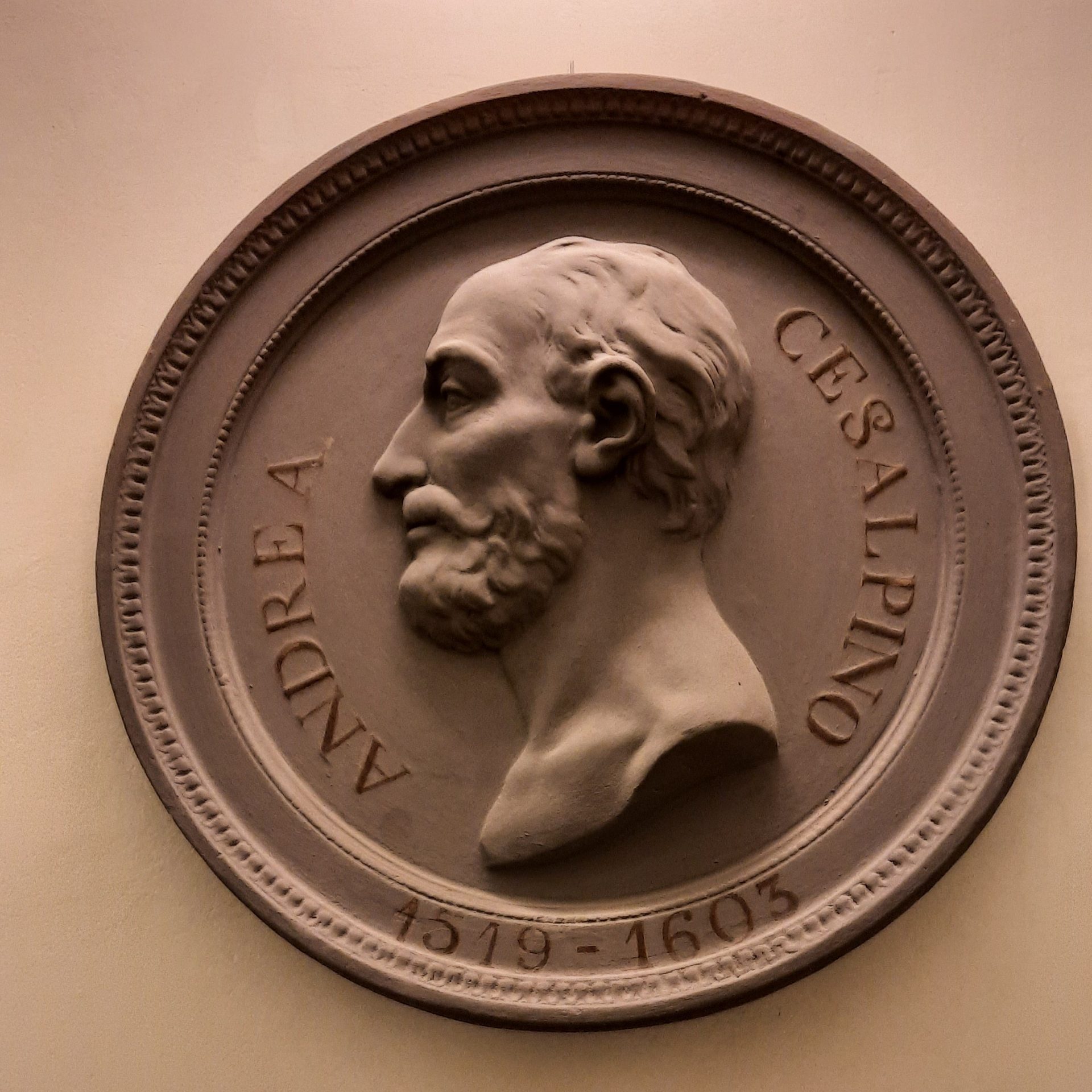 Andrea Cesalpino's bas-relief, Museo Galileo, Florence.jpg